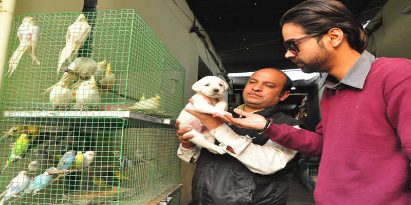 Pet shop in Delhi