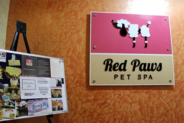 Red Paws Pet Spa & Shop