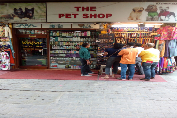 windsor pet shop khan market