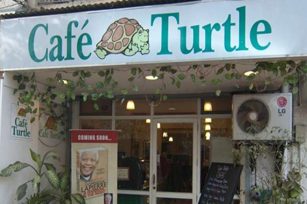 Cafe Turtle