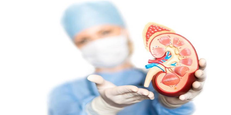 kidney specialist in Delhi
