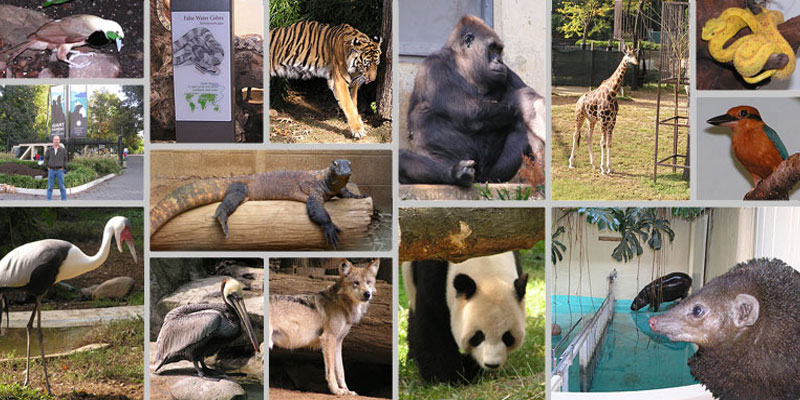 The National Zoological Park Delhi 